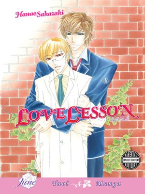 cover image of Love Lesson